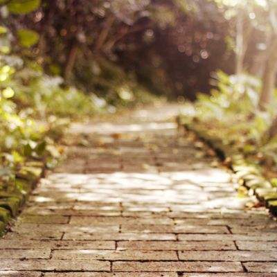 中欧·体育(KOK)中国官方网站截图